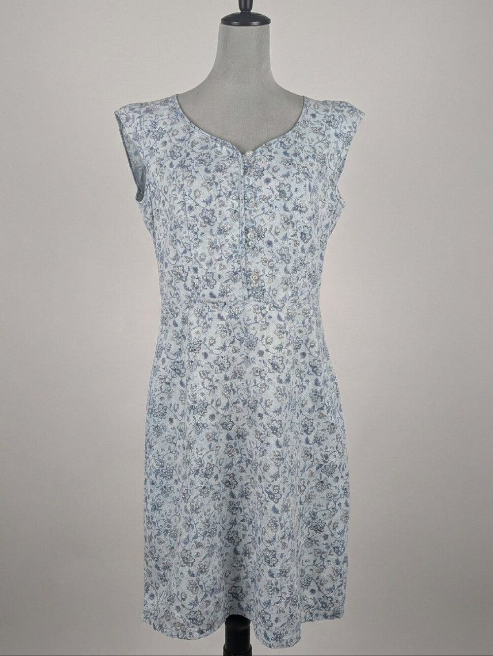 The Territory Ahead Floral Sleeveless Dress Women's Size 8 Blue White Cotton